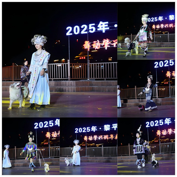 大会期间举办宠物民族服饰秀活动